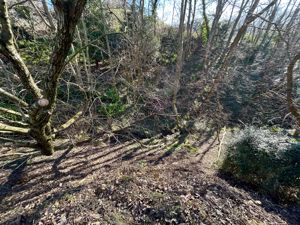 Photo 57- click for photo gallery